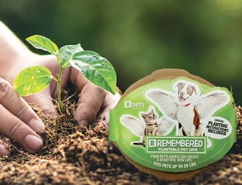 SAYING GOODBYE WITH A B-REMEMBERED PLANTABLE PET URN
