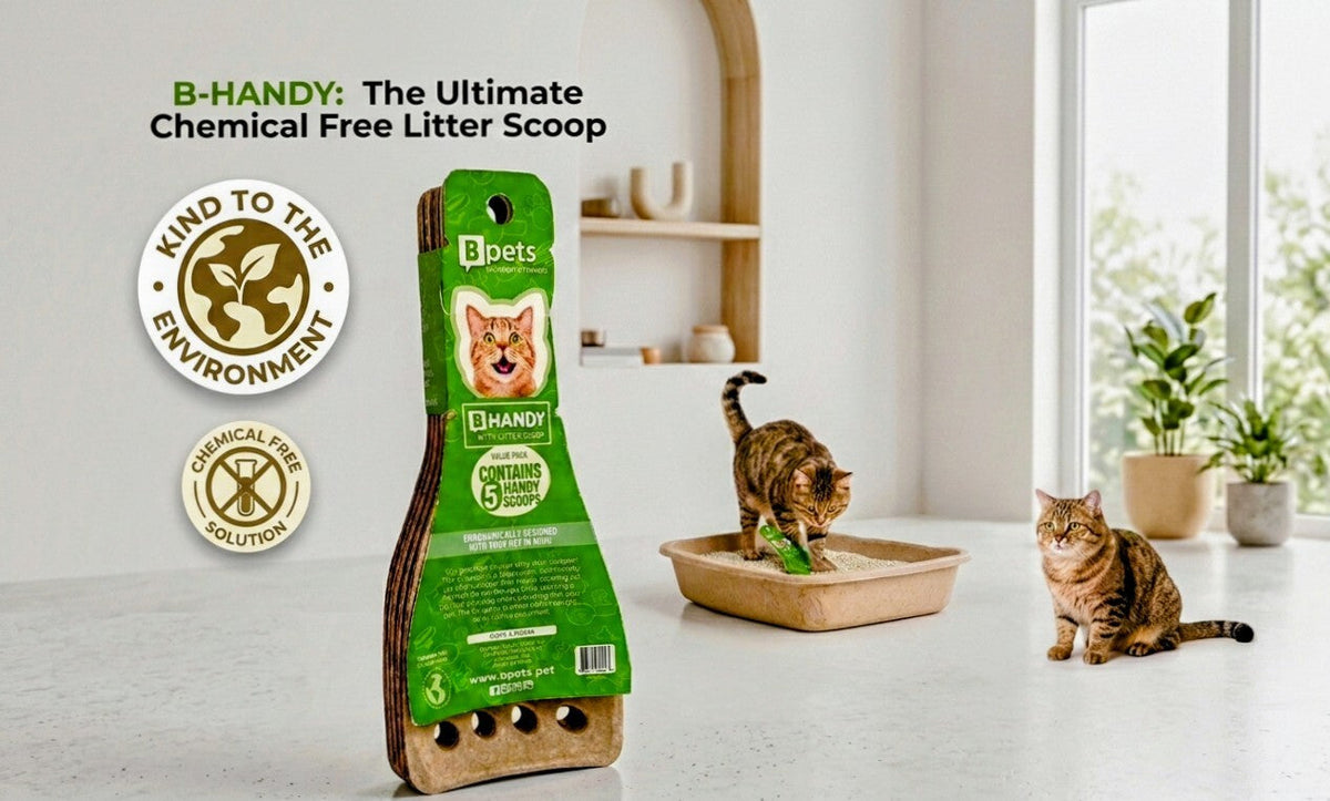 5 Pack Molded Pulp Cat Litter Scoops – Eco Friendly Kitty Sifter