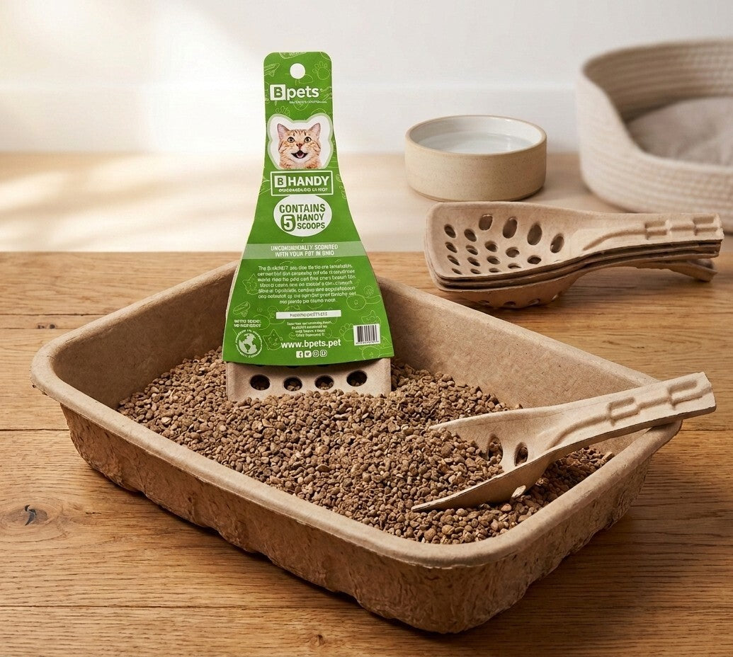 5 Pack Molded Pulp Cat Litter Scoops – Eco Friendly Kitty Sifter