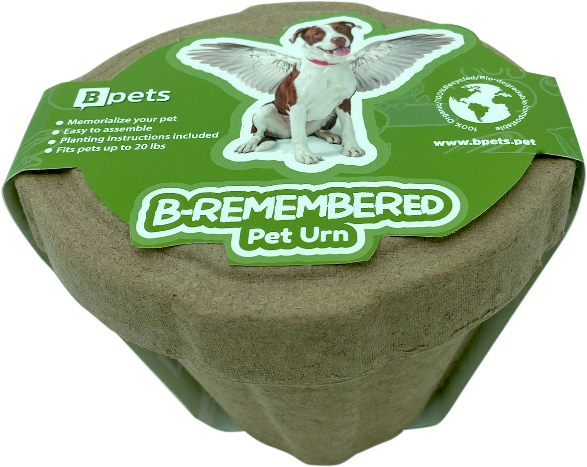 Plantable Pet Ashes Urn – Biodegradable Molded Pulp Memorial for Dogs, Cats