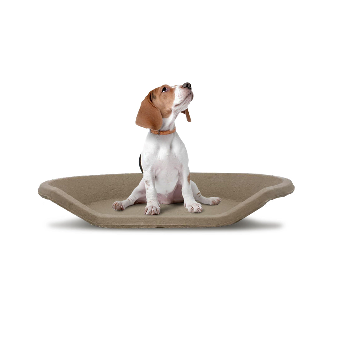 Molded Pulp Round Pet Bed, Minimalist Cat Dog Furniture Lounge