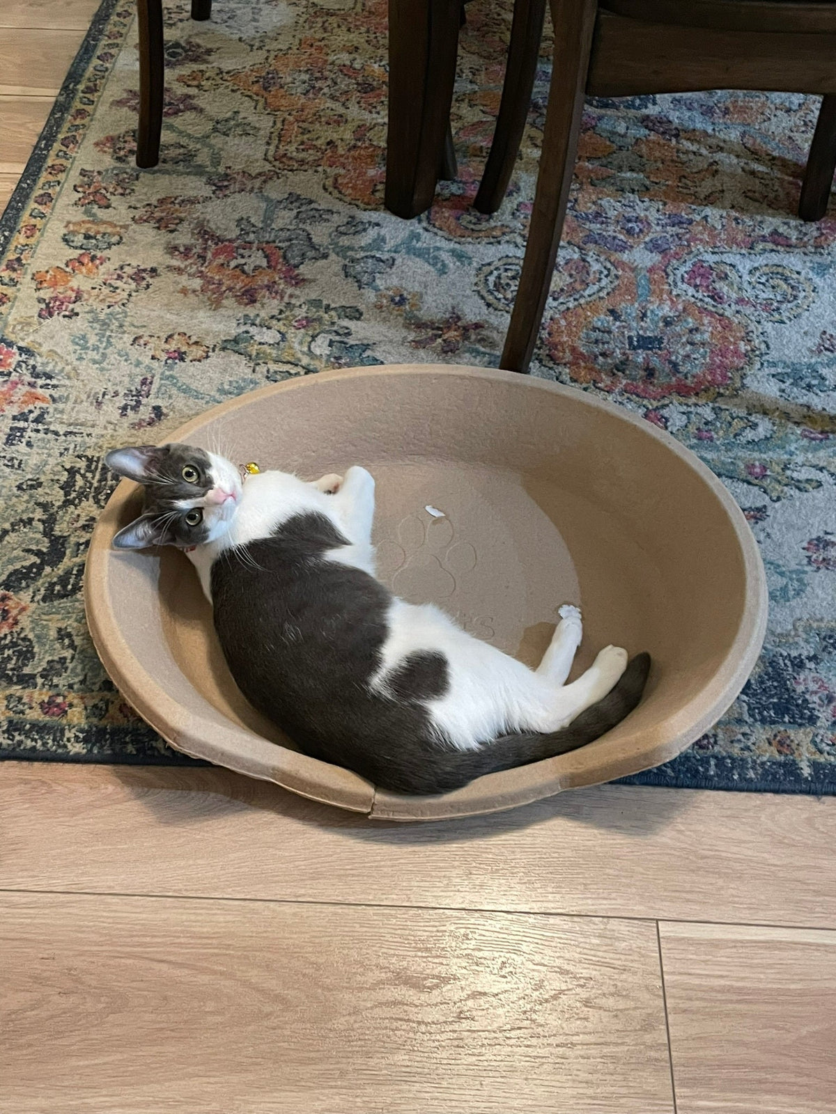 Molded Pulp Round Pet Bed, Minimalist Cat Dog Furniture Lounge