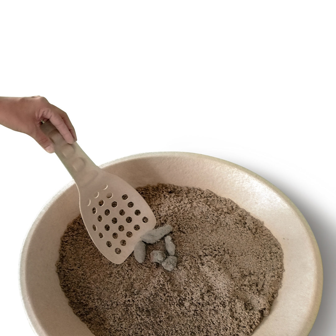 5 Pack Molded Pulp Cat Litter Scoops – Eco Friendly Kitty Sifter