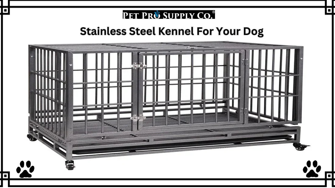 How to Choose the Right Size Stainless Steel Kennel for Your Dog