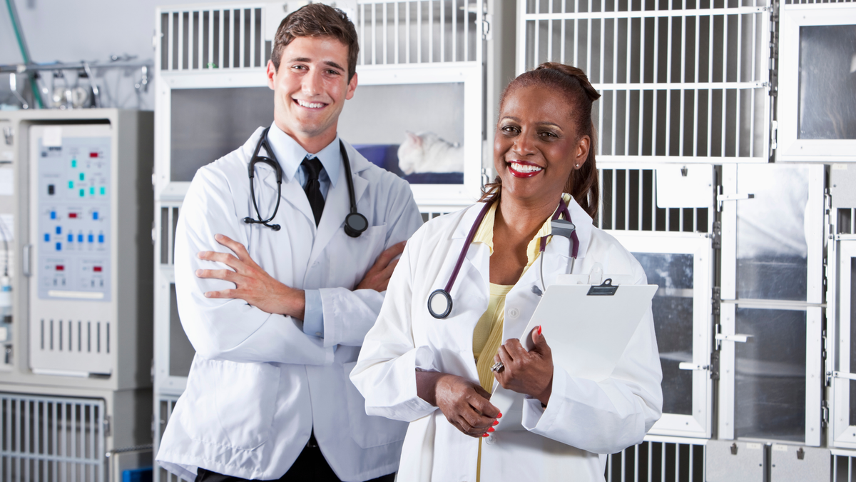 Behind the Scenes: Staying Informed with Veterinary Industry News