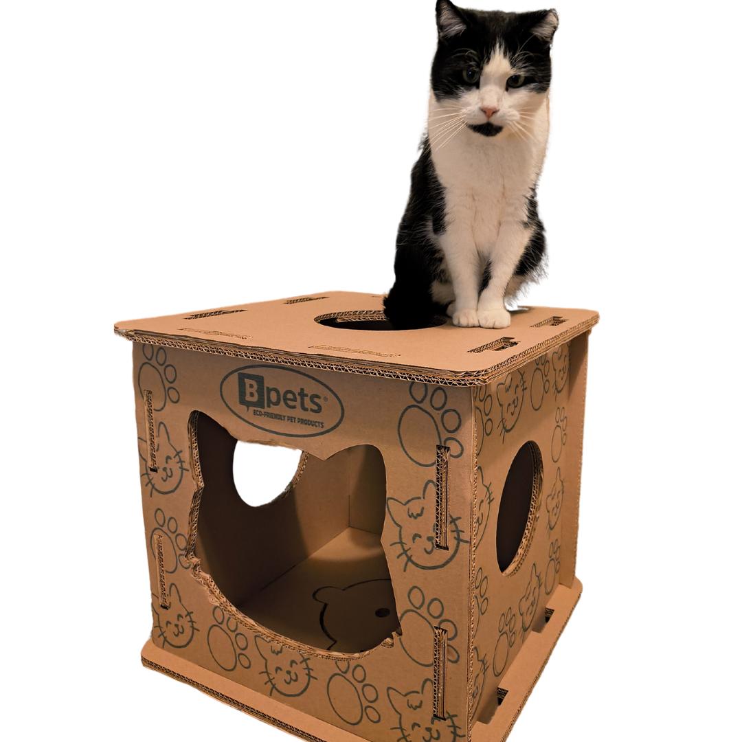 Cat House+ Oval Scratcher