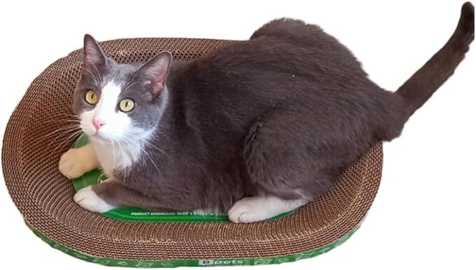 Oval Cardboard Cat Scratcher Bed Set | Modern Cat Furniture Lounge