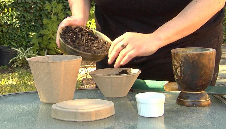 Plantable Pet Ashes Urn – Biodegradable Molded Pulp Memorial for Dogs, Cats