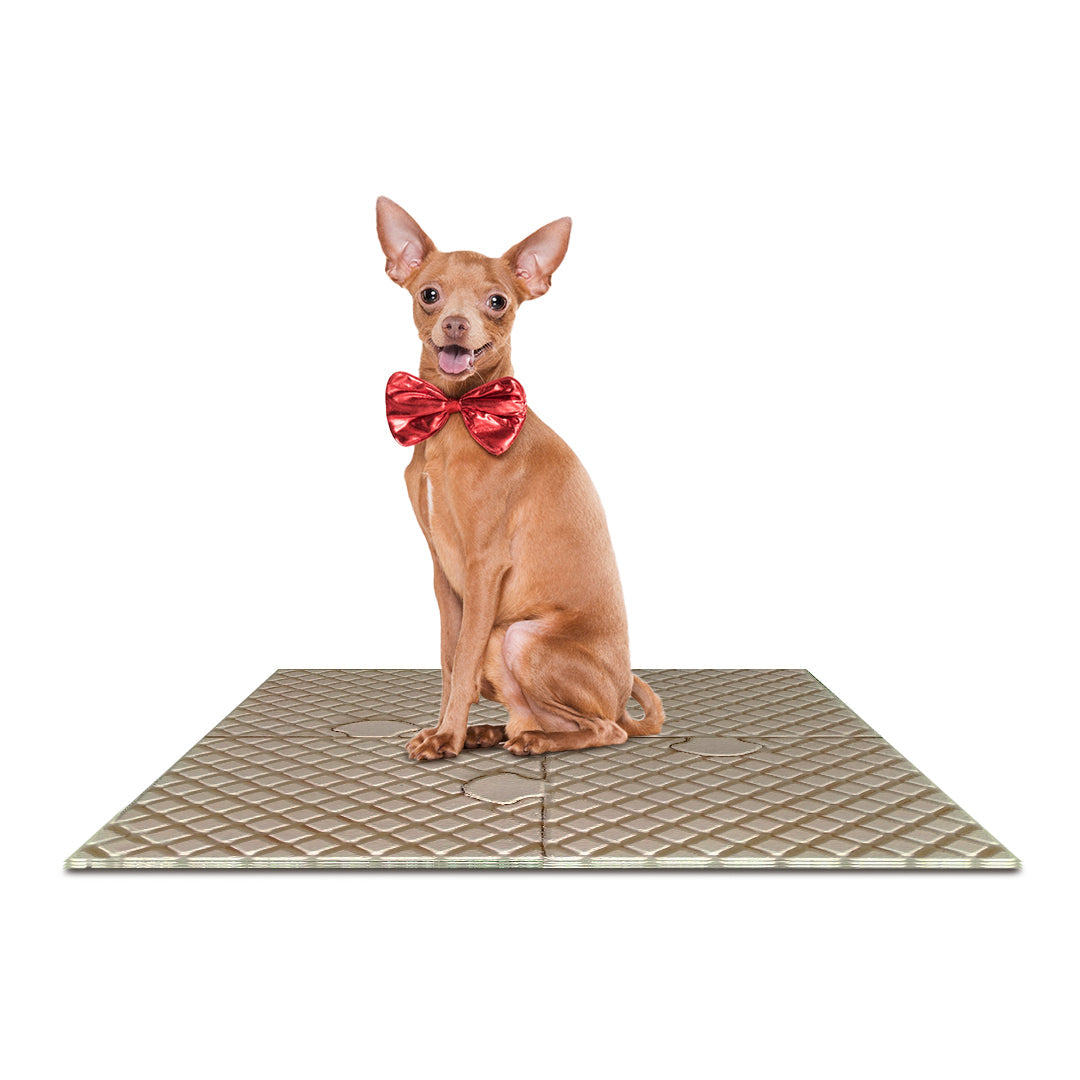 B Tidy - Expandable Play Mat (Set 4 pieces)