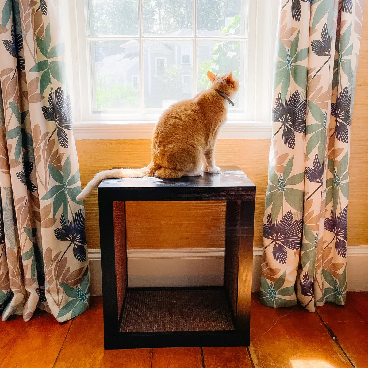 2-in-1 Cat Scratcher End Table – Modern Wood Side Table with Customizable Sisal Scratching Pad – Versatile Furniture for Cats and Home Decor Dark Wood