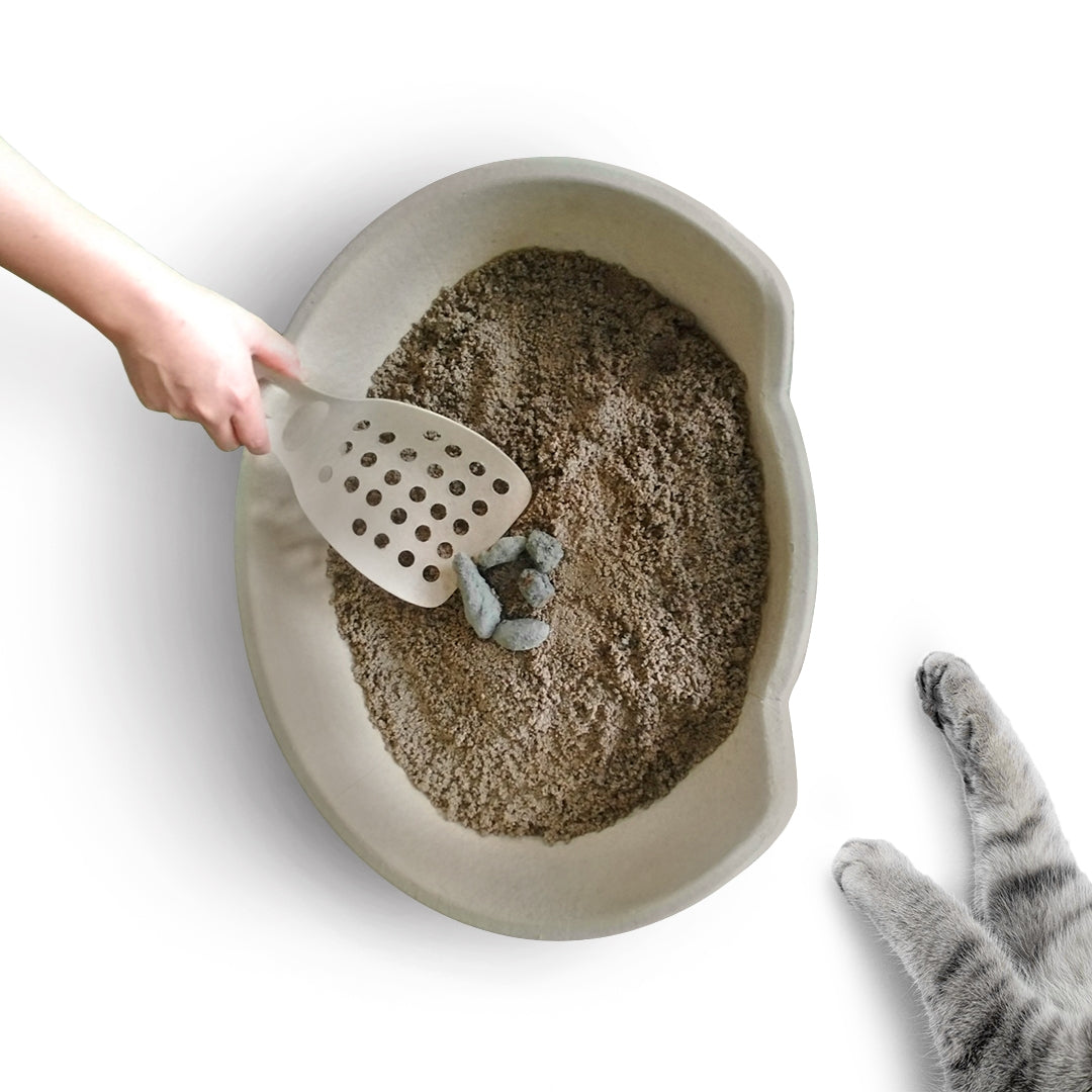 5 Pack Molded Pulp Cat Litter Scoops – Eco Friendly Kitty Sifter