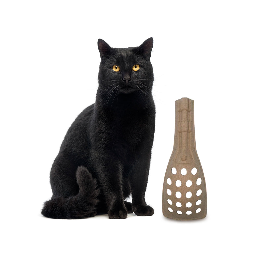 5 Pack Molded Pulp Cat Litter Scoops – Eco Friendly Kitty Sifter